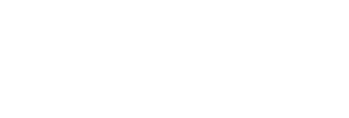 NetSDL